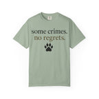 Some Crimes No Regrets T-Shirt