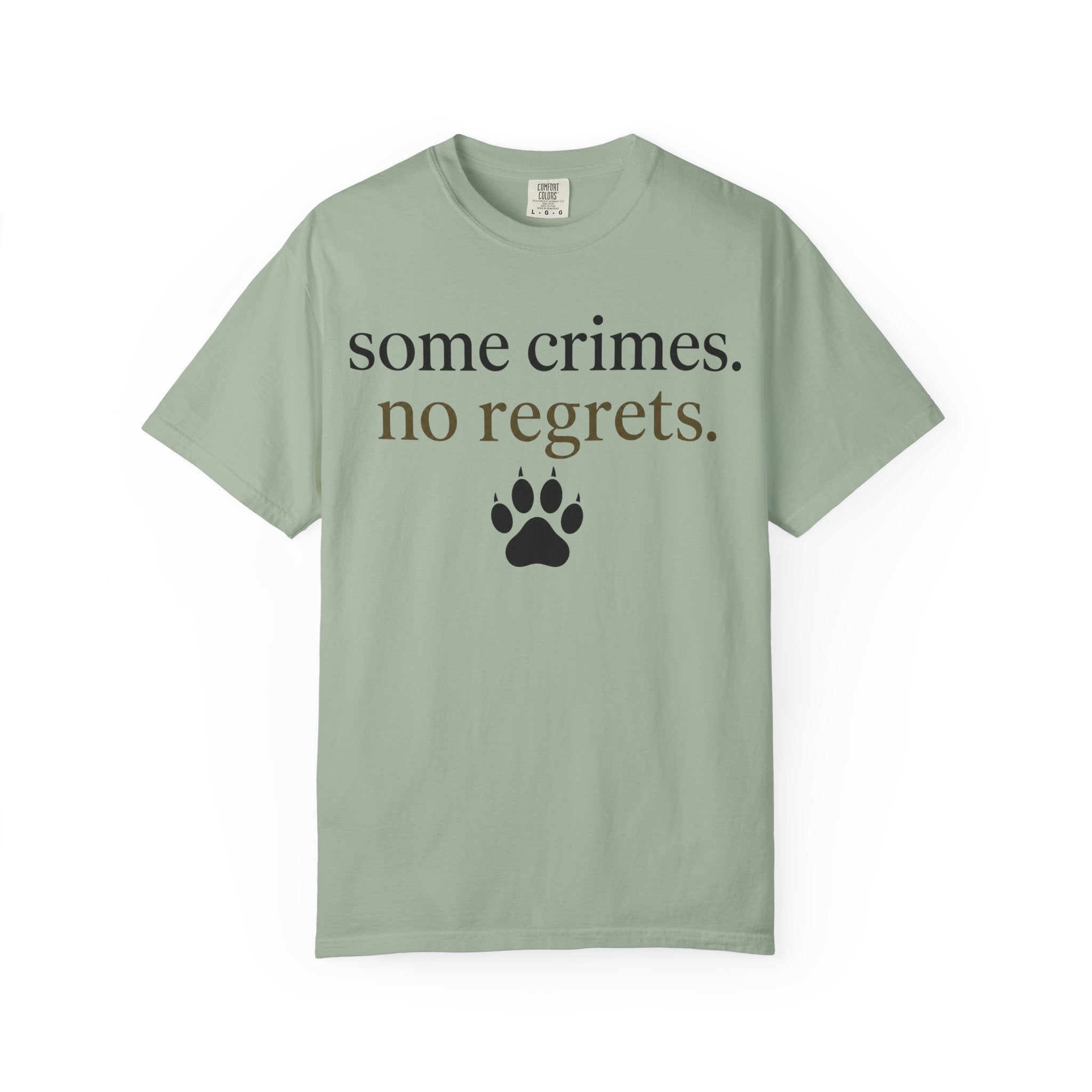 Some Crimes No Regrets T-Shirt