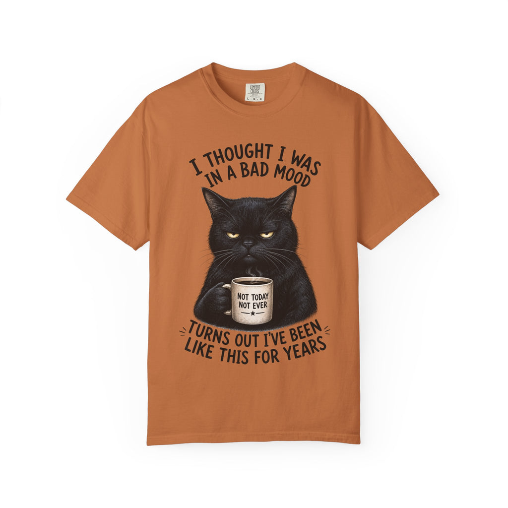 Black Cat in a Bad Mood T-Shirt