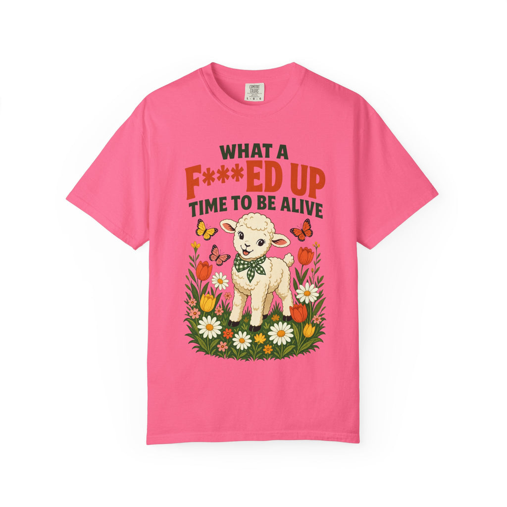 Baby Lamb F-d Up Time