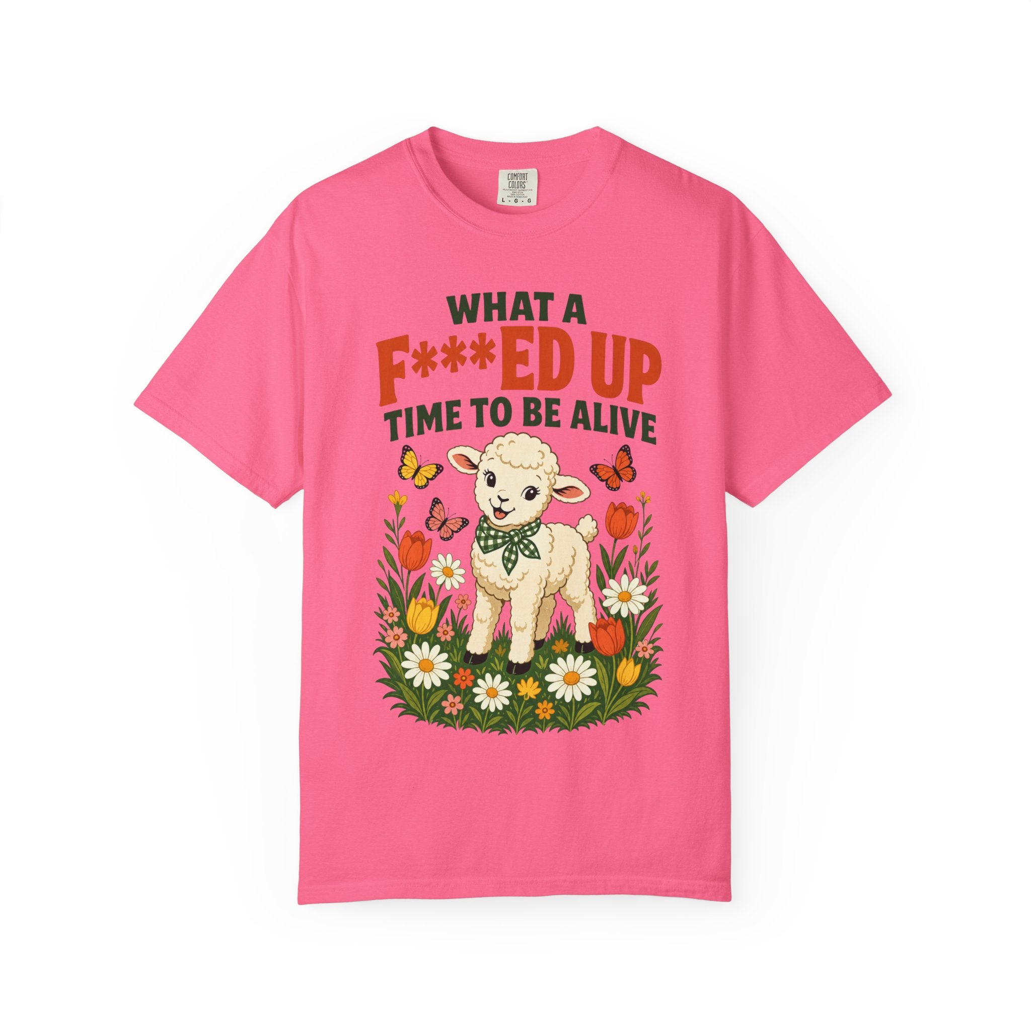 Baby Lamb F-d Up Time