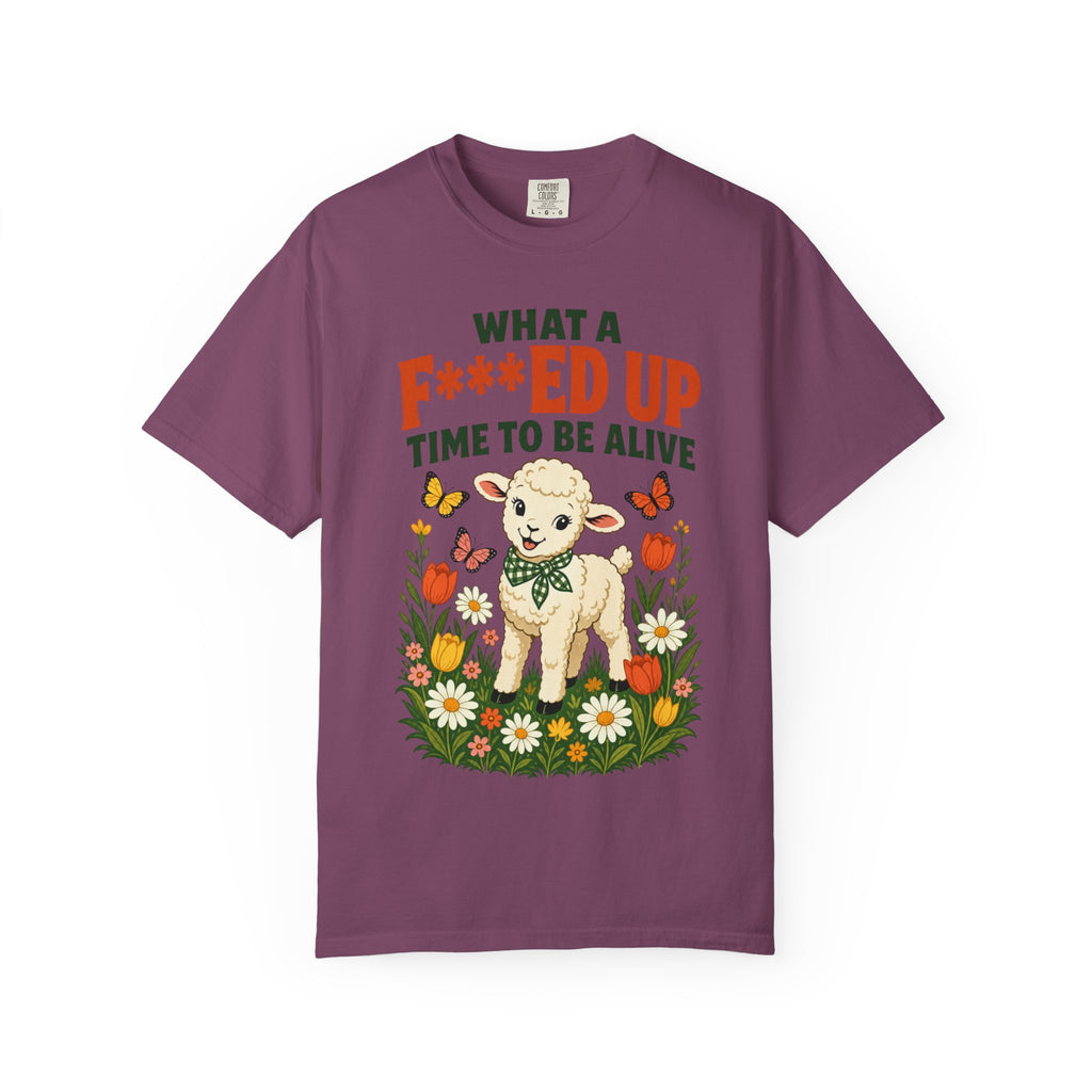 Baby Lamb F-d Up Time