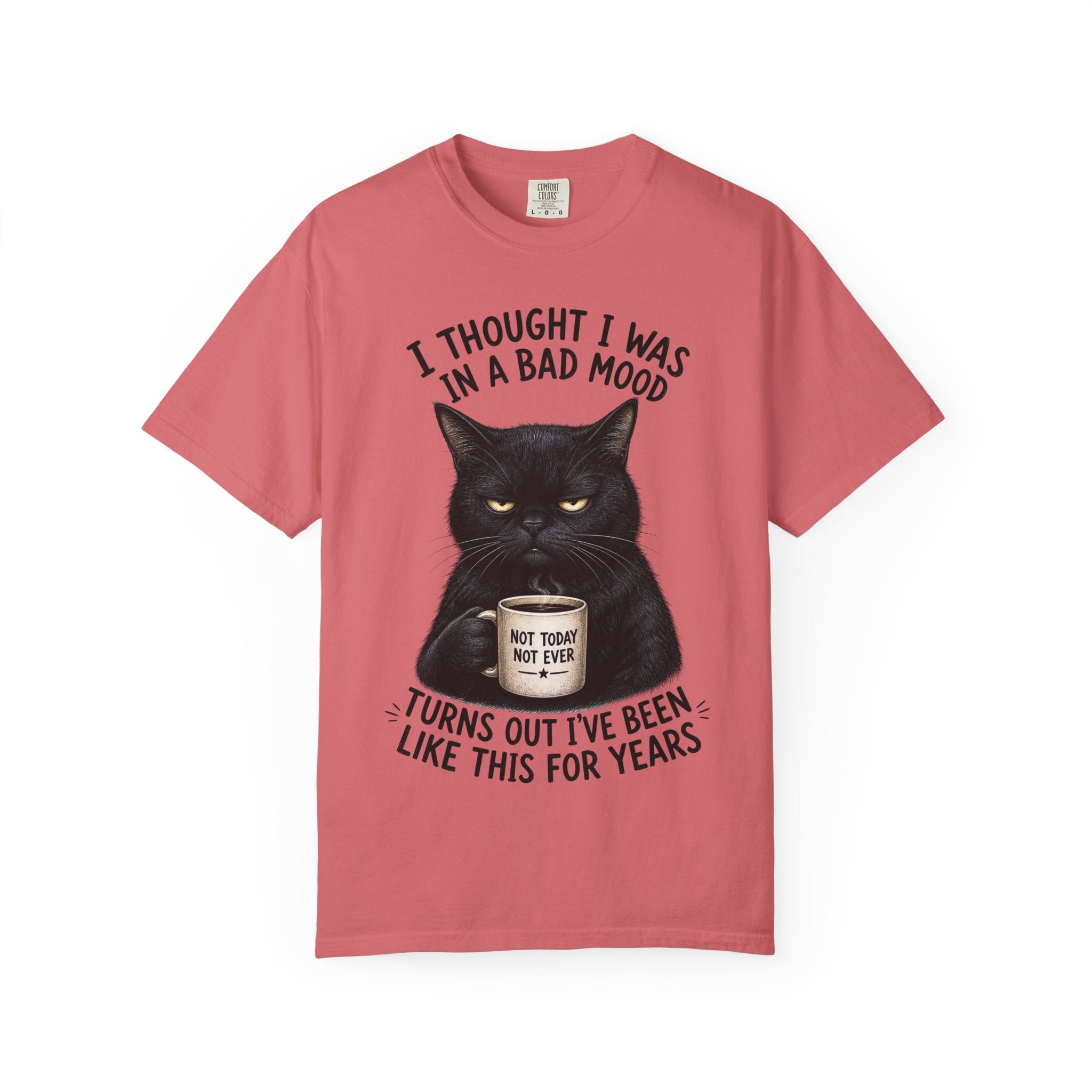 Black Cat in a Bad Mood T-Shirt