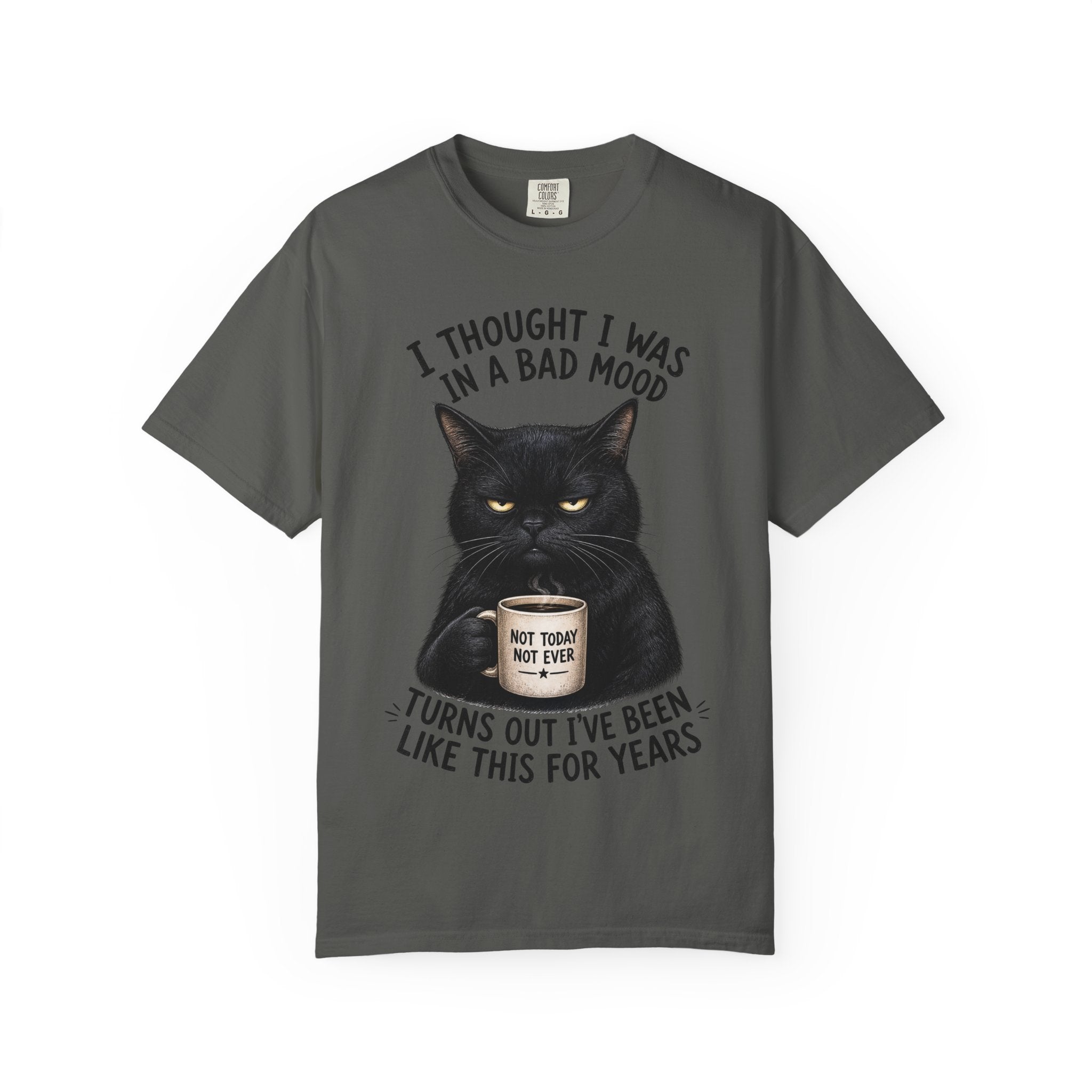 Black Cat in a Bad Mood T-Shirt