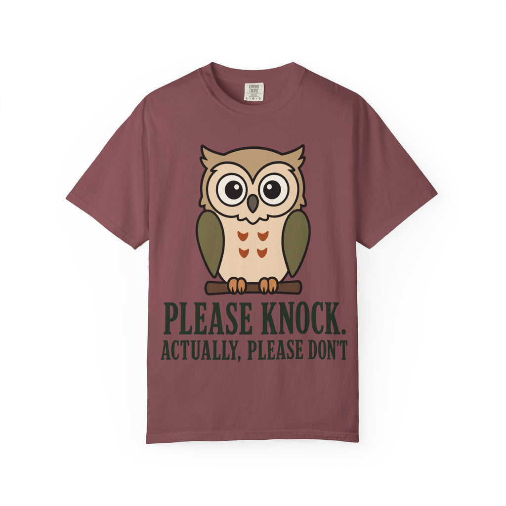 Owl Please Knock T-Shirt