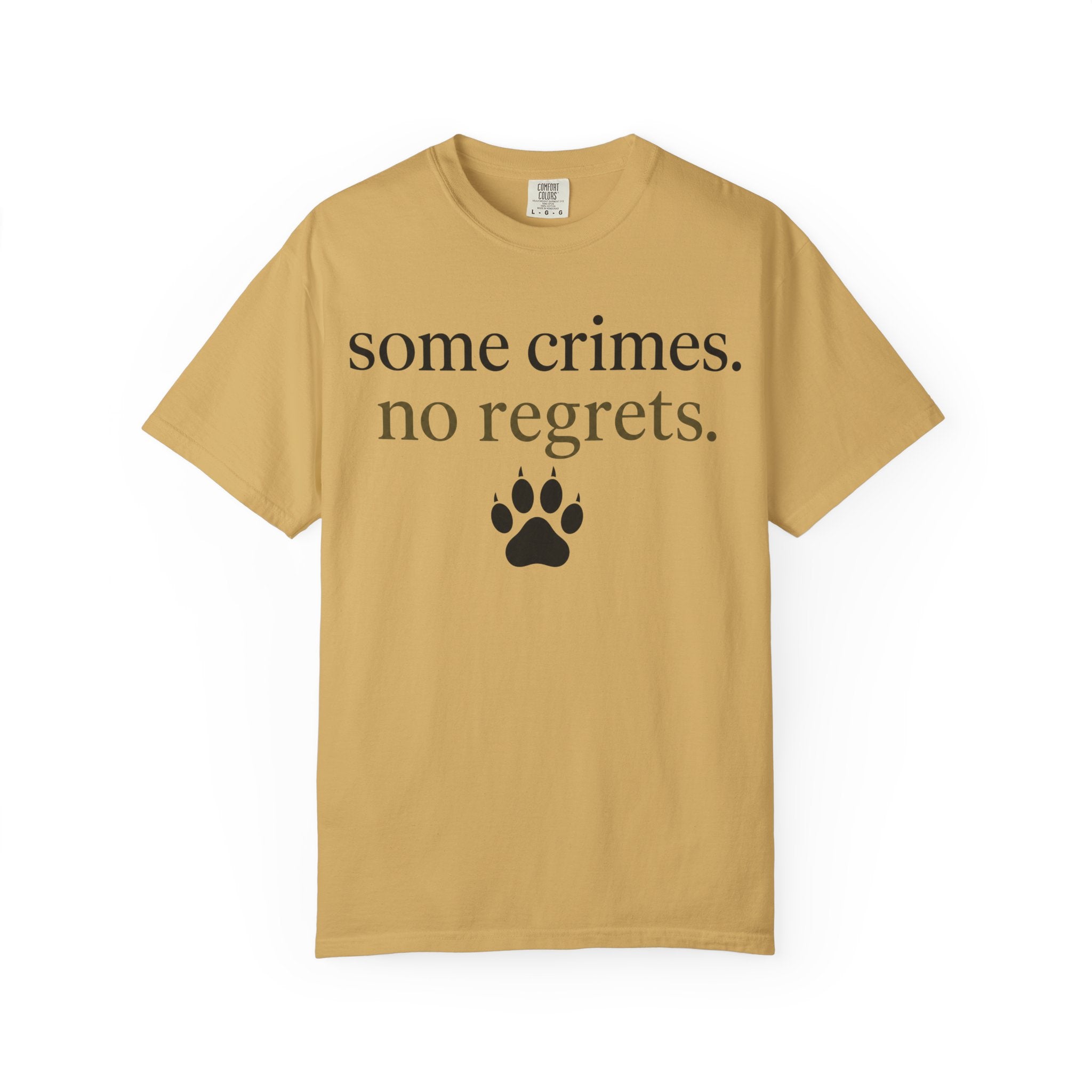 Some Crimes No Regrets T-Shirt
