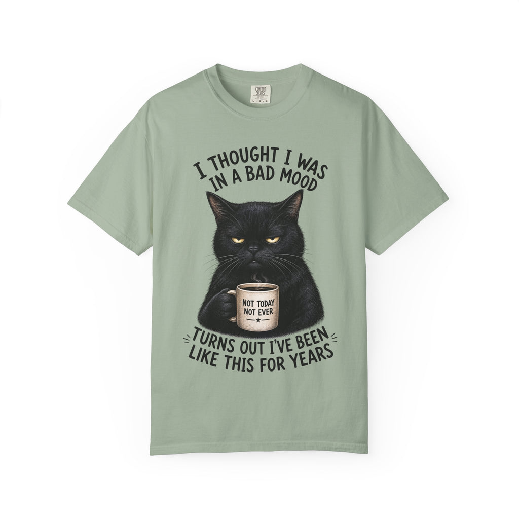 Black Cat in a Bad Mood T-Shirt