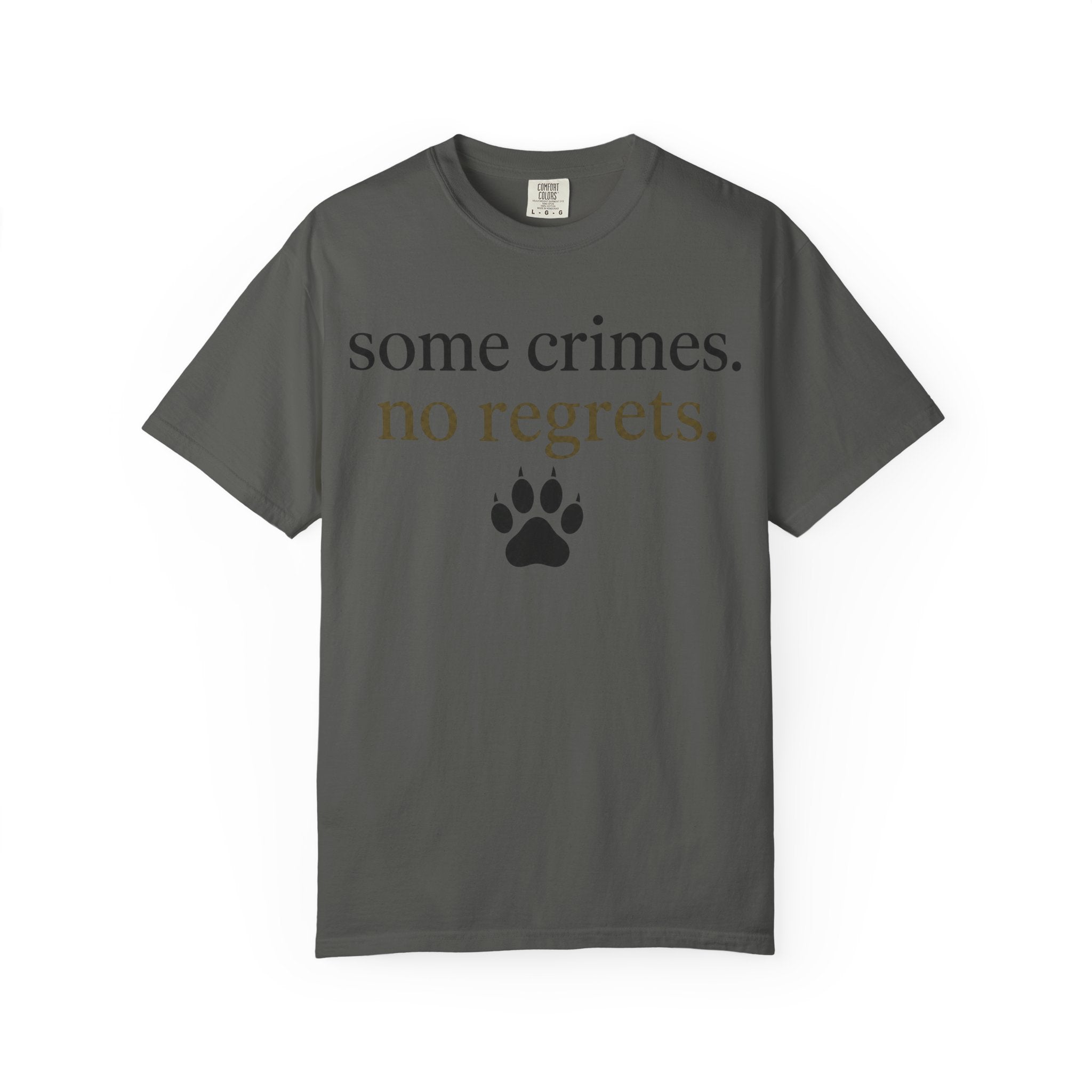Some Crimes No Regrets T-Shirt