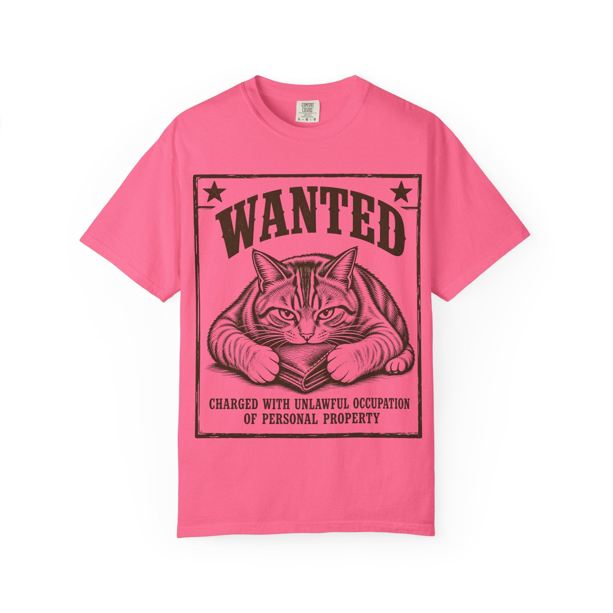 Cat Wanted - Unlawful Occupation