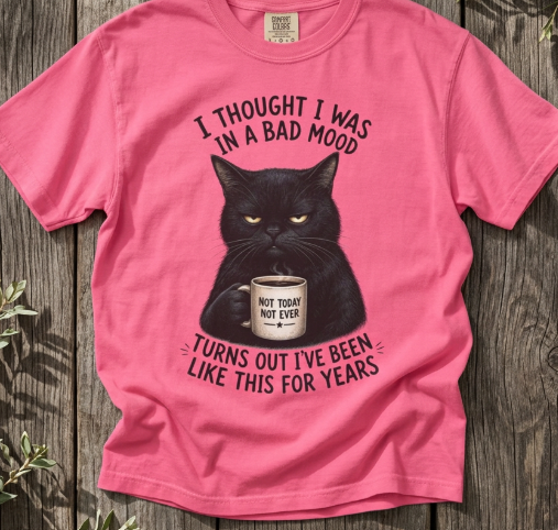 Black Cat in a Bad Mood T-Shirt