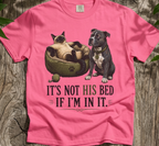 Cat Claims Bed T-Shirt