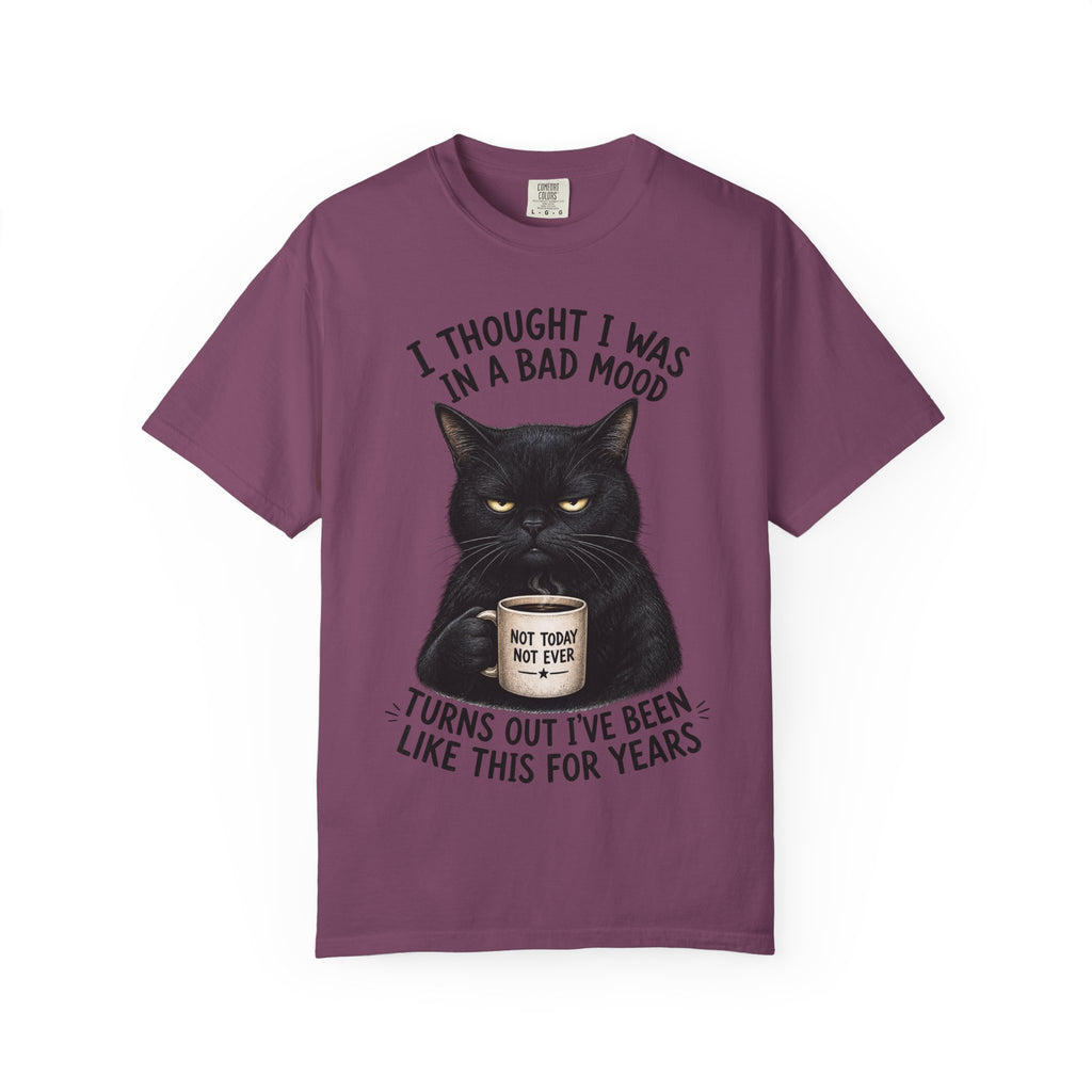 Black Cat in a Bad Mood T-Shirt