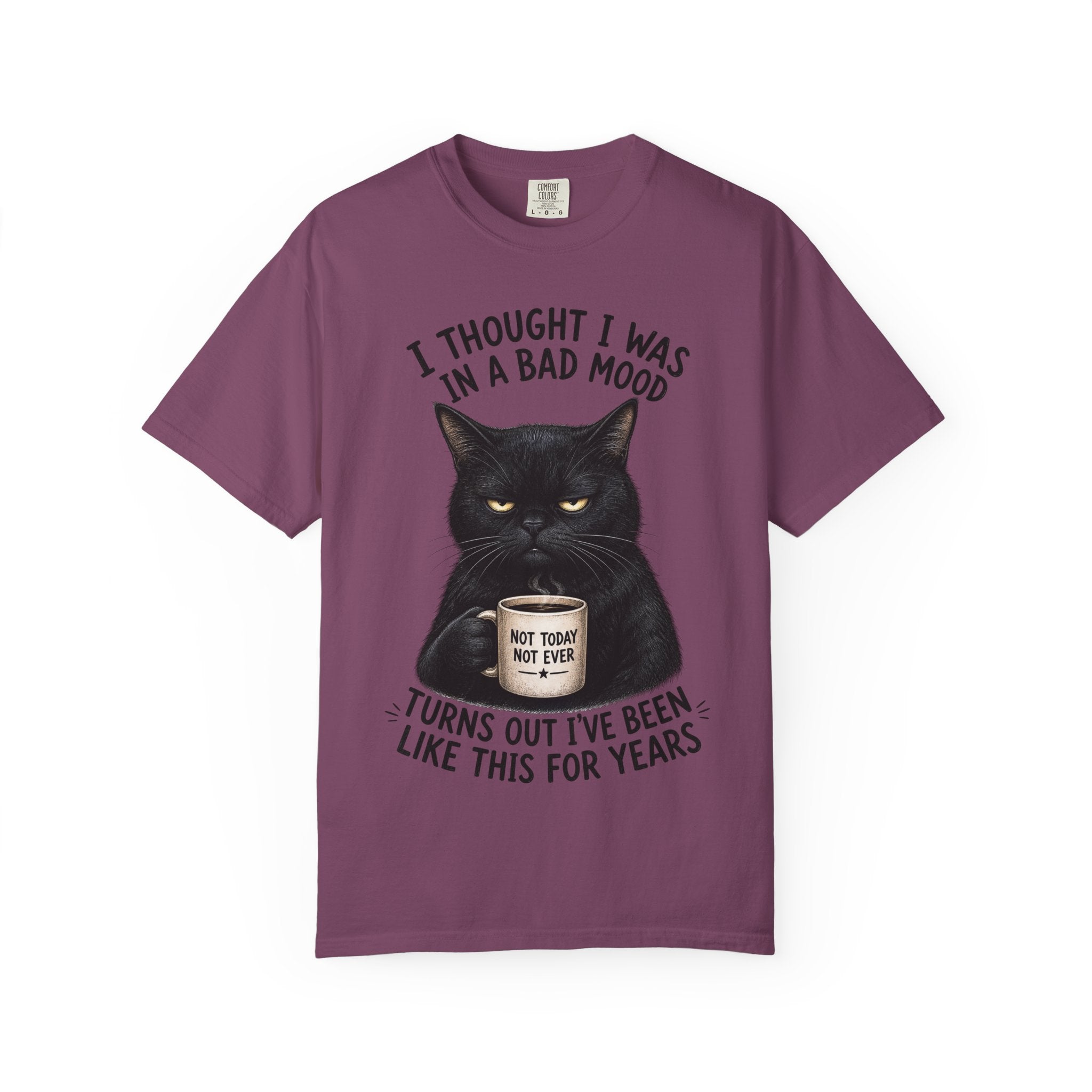 Black Cat in a Bad Mood T-Shirt