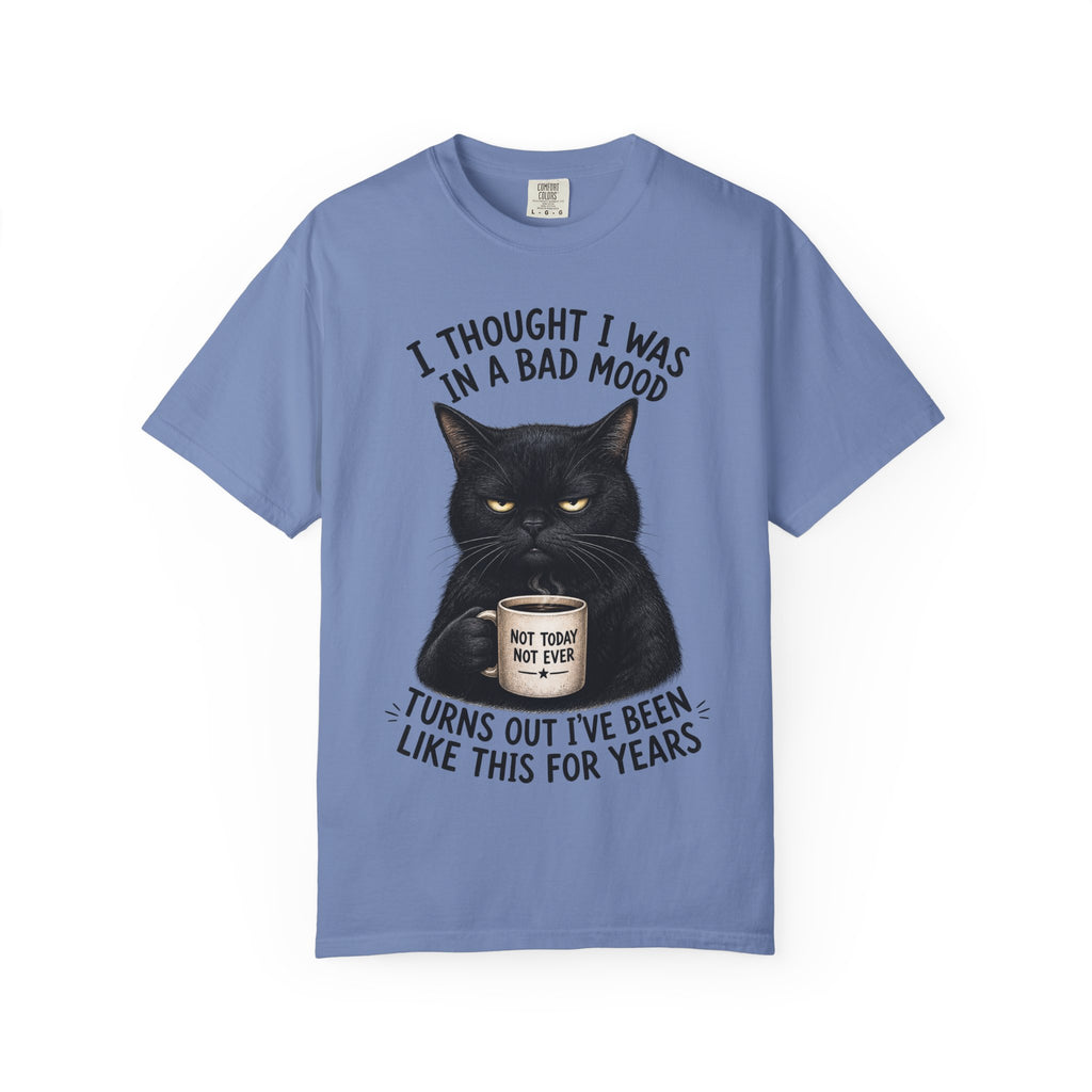 Black Cat in a Bad Mood T-Shirt