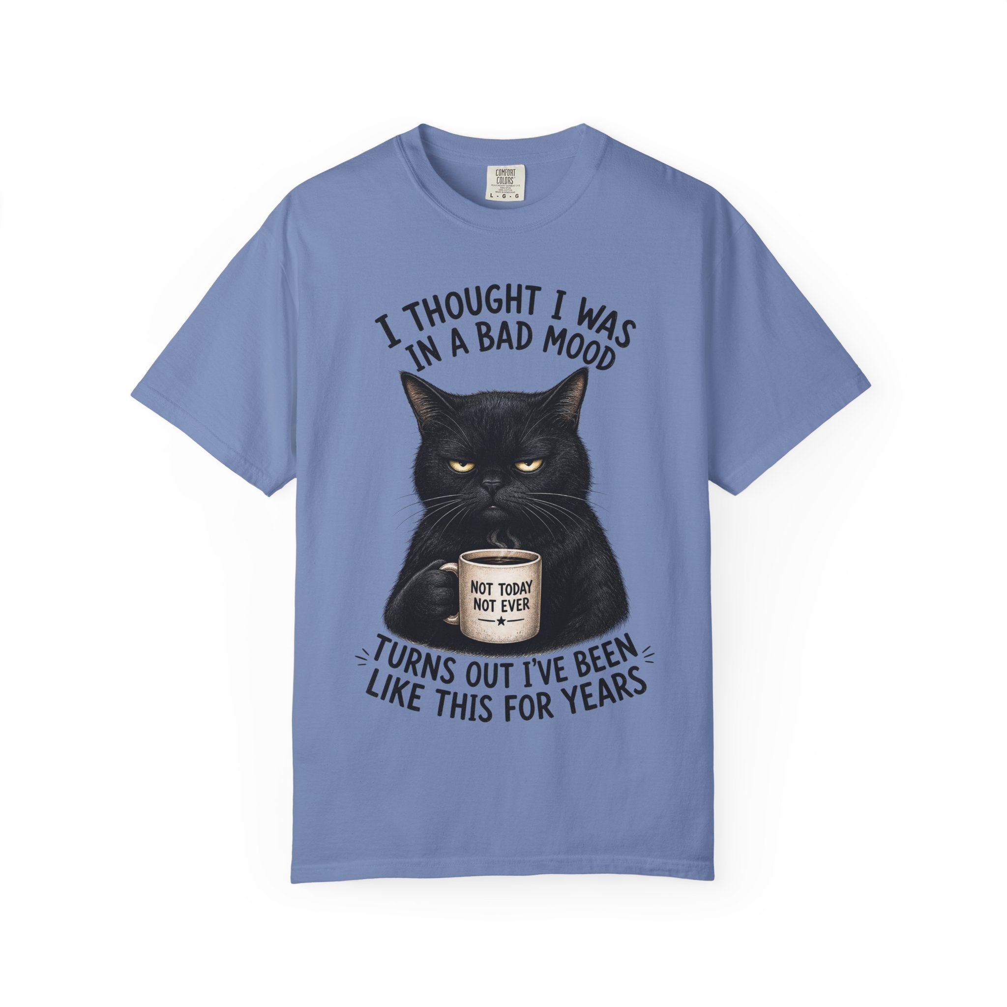 Black Cat in a Bad Mood T-Shirt