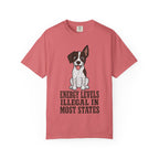 German Shorthaired Pointer T-Shirt