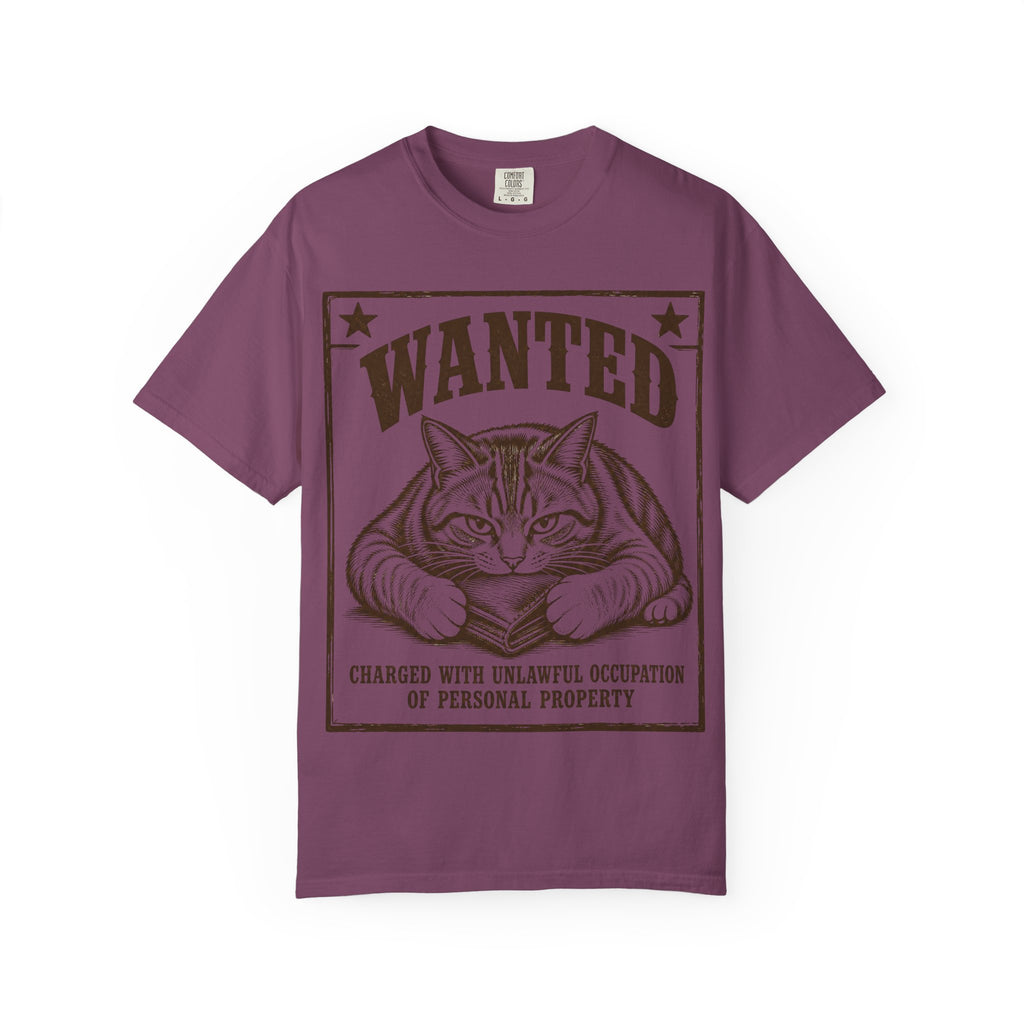 Cat Wanted - Unlawful Occupation