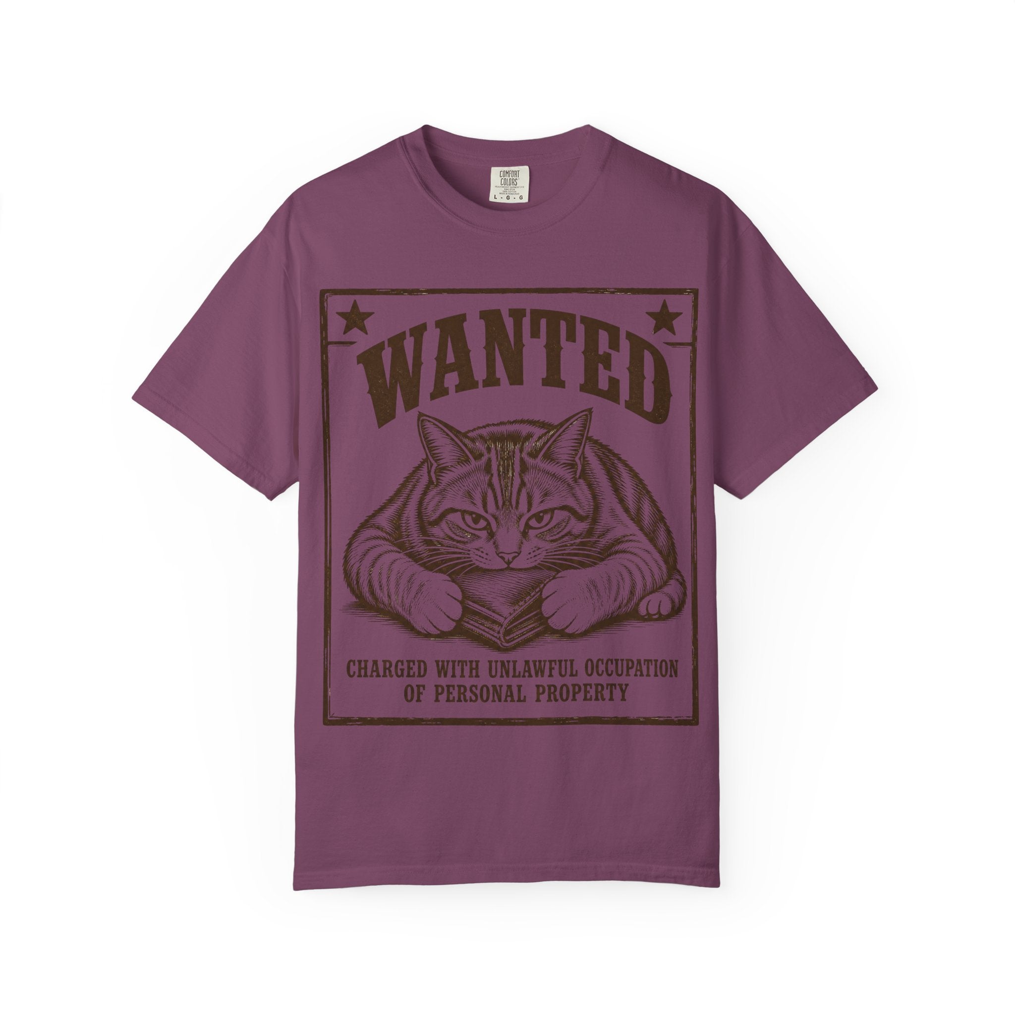 Cat Wanted - Unlawful Occupation