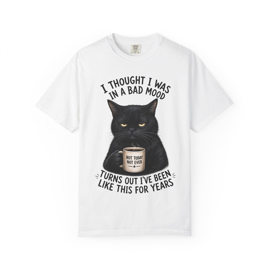Black Cat in a Bad Mood T-Shirt