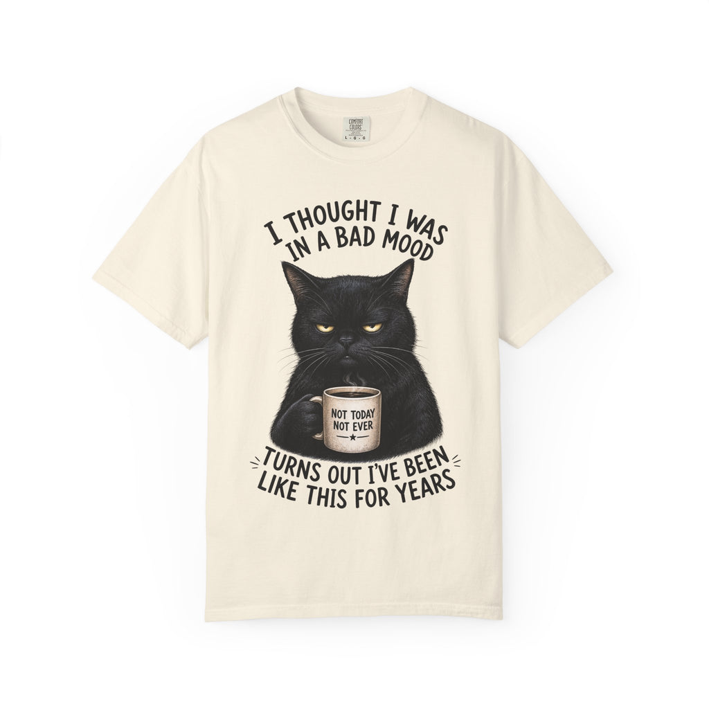 Black Cat in a Bad Mood T-Shirt