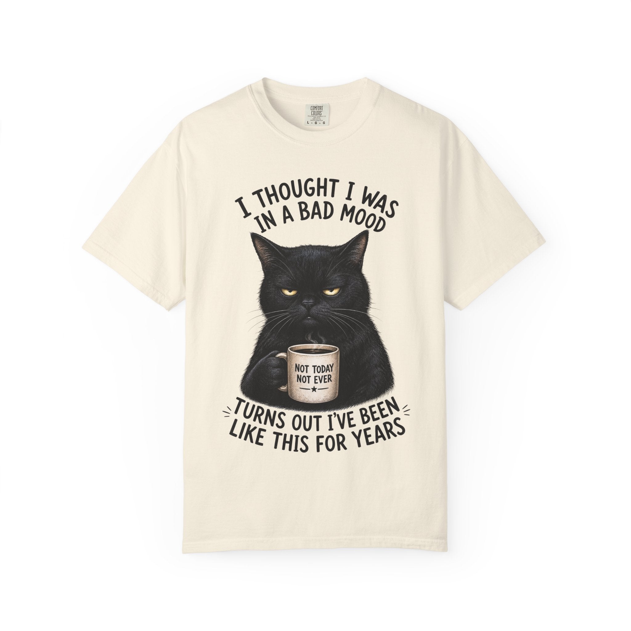 Black Cat in a Bad Mood T-Shirt