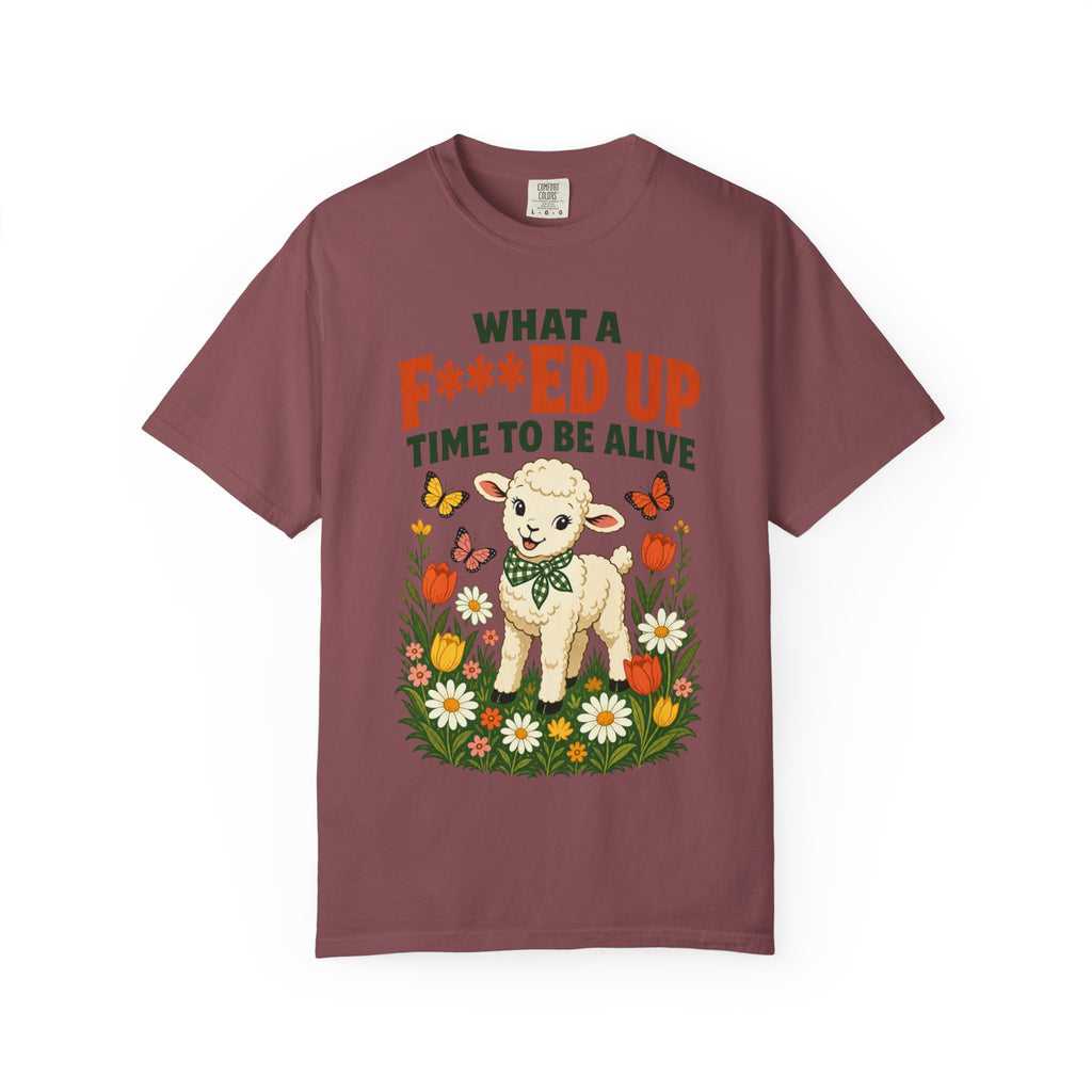 Baby Lamb F-d Up Time