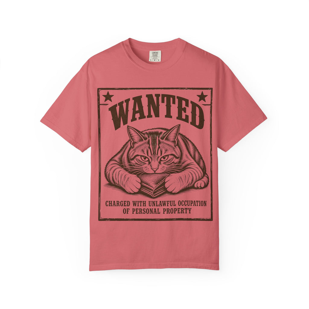 Cat Wanted - Unlawful Occupation