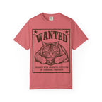 Cat Wanted - Unlawful Occupation