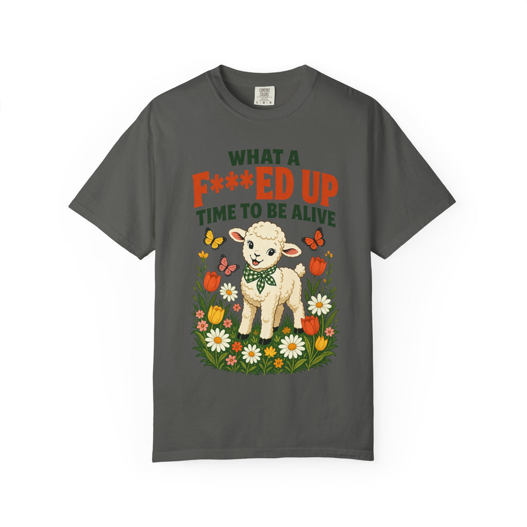 Baby Lamb F-d Up Time