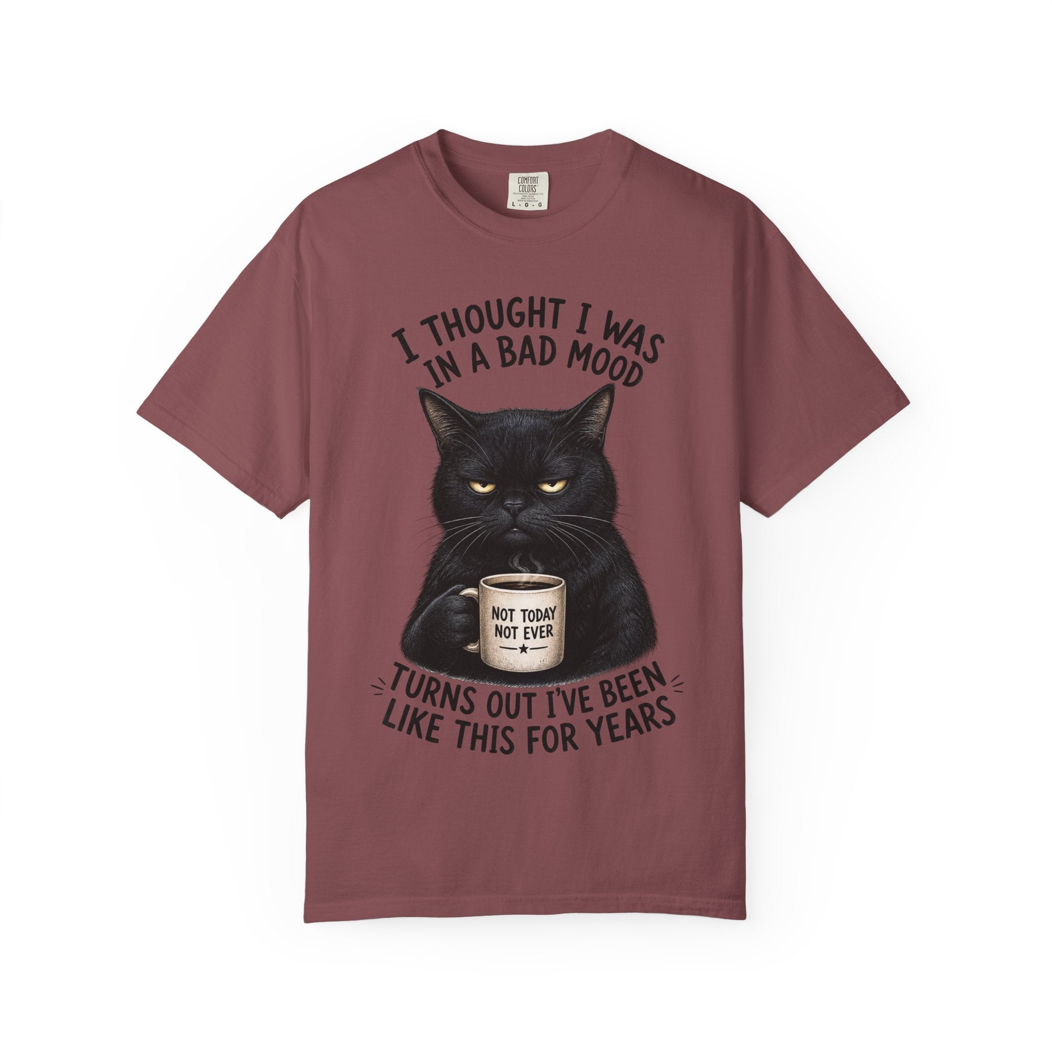 Black Cat in a Bad Mood T-Shirt